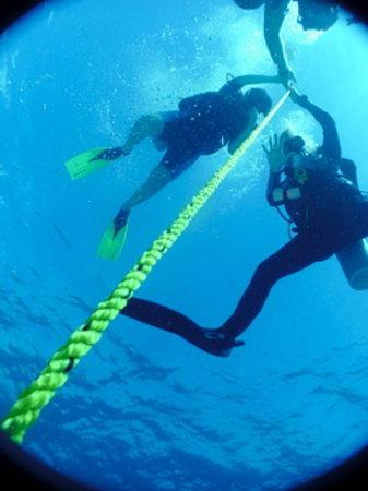 Dreamtime Dive Center