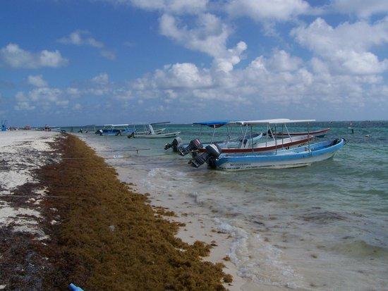 Puerto Morelos Charters