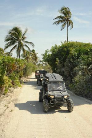 Off Road Eco Adventures