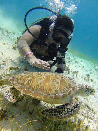 Cancun Scuba For You
